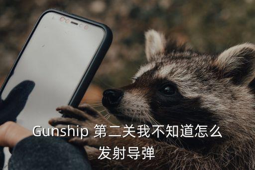 Gunship 第二关我不知道怎么发射导弹