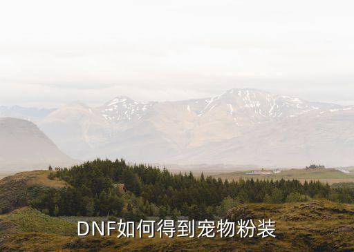 dnf手游粉色宠物装备怎么获得，dnf粉宠物装备怎么得