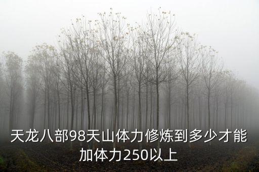 天龙八部98天山体力修炼到多少才能加体力250以上