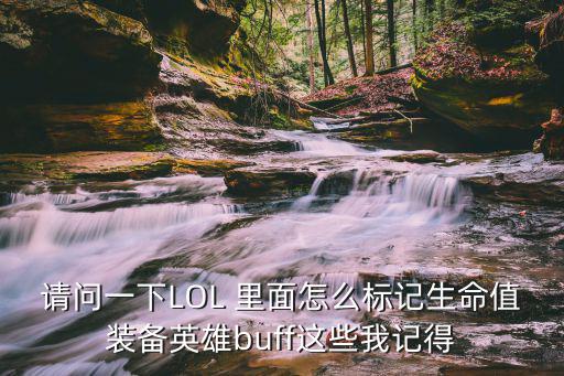 请问一下LOL 里面怎么标记生命值装备英雄buff这些我记得