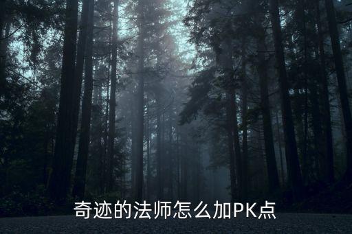 奇迹的法师怎么加PK点