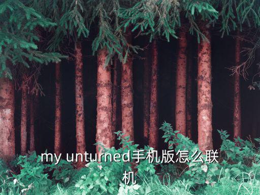 my unturned手机版怎么联机