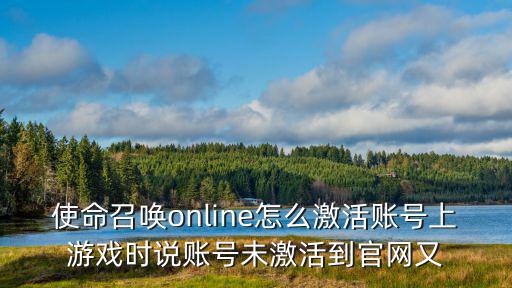 使命召唤online怎么激活账号上游戏时说账号未激活到官网又