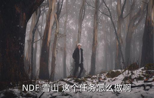 NDF 雪山 这个任务怎么做啊