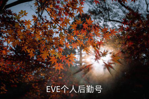 EVE个人后勤号