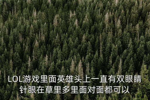 LOL游戏里面英雄头上一直有双眼睛针眼在草里多里面对面都可以