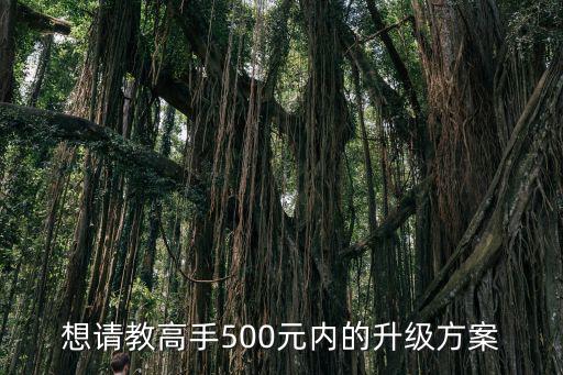 想请教高手500元内的升级方案