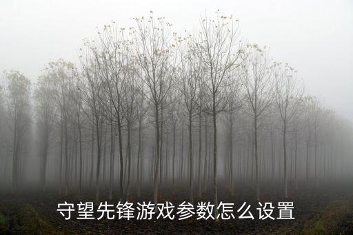 守望先锋游戏参数怎么设置