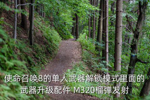 使命召唤8的单人武器解锁模式里面的武器升级配件 M320榴弹发射