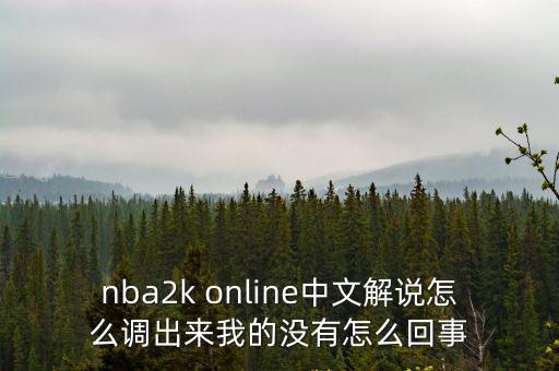 nba2k online中文解说怎么调出来我的没有怎么回事