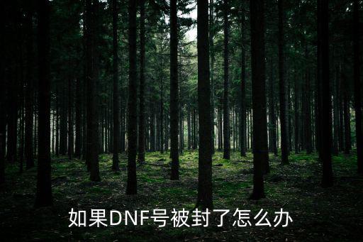 dnf韩服手游封号怎么办，DNF账号被封怎么办