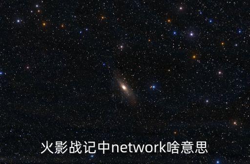 火影战记中network啥意思