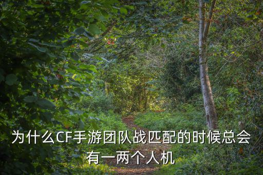 cf手游排位团队怎么都是人机，cf手游自动团队竞技模式是不是有机器人