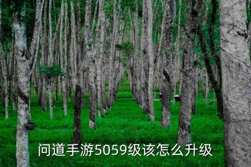 问道手游5059级该怎么升级