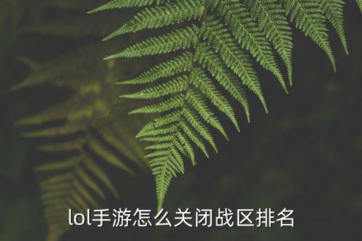 lol手游怎么关闭战区排名