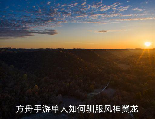 方舟手游怎么顺服风神翼龙，方舟生存进化风神翼龙怎么驯服