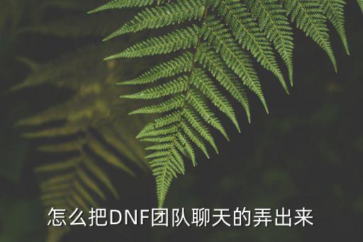 怎么把DNF团队聊天的弄出来