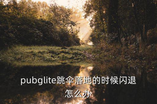 pubglite跳伞落地的时候闪退怎么办