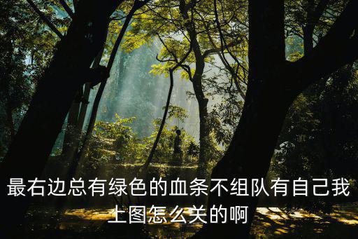 最右边总有绿色的血条不组队有自己我上图怎么关的啊