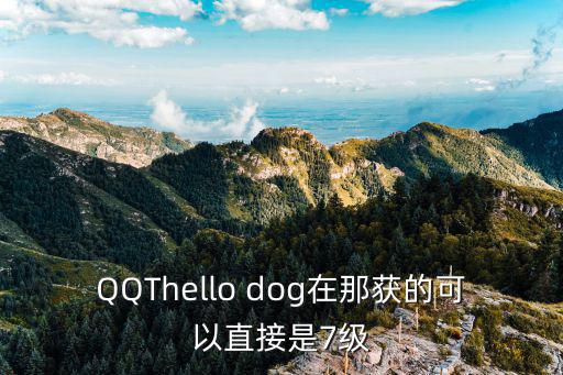 QQThello dog在那获的可以直接是7级