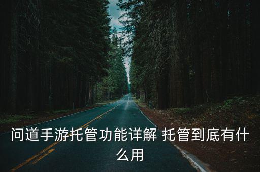 问道手游托管功能详解 托管到底有什么用