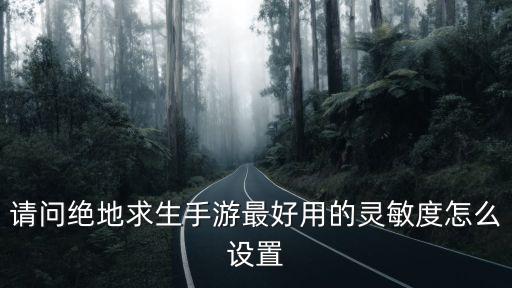 手游pubg设置怎么调最好，绝地求生游戏设置怎么调最合适