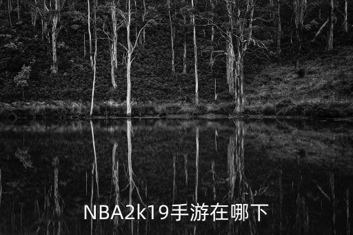 NBA2k19手游在哪下