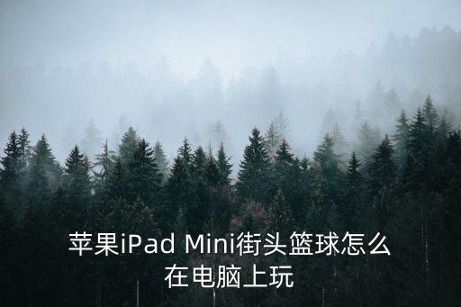 苹果iPad Mini街头篮球怎么在电脑上玩