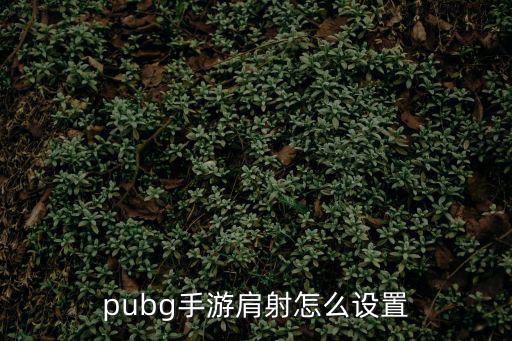 pubg手游团竞怎么换两把步枪，pubg手游肩射怎么设置