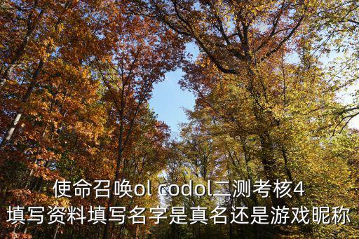 使命召唤ol codol二测考核4填写资料填写名字是真名还是游戏昵称