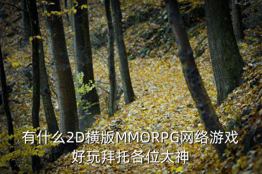 有什么2D横版MMORPG网络游戏好玩拜托各位大神