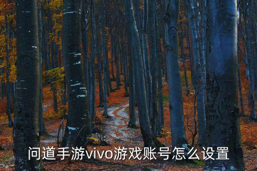 问道手游vivo游戏账号怎么设置