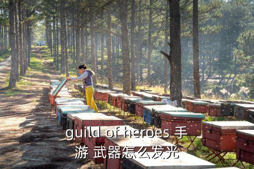 guild of heroes 手游 武器怎么发光