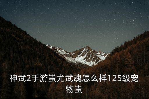 神武2手游蚩尤武魂怎么样125级宠物蚩