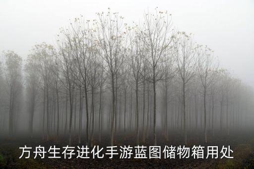 方舟手游储藏箱怎么制作，方舟生存进化手游蓝图储物箱用处