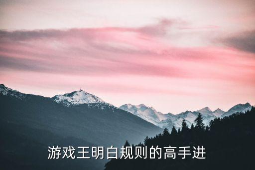 游戏王明白规则的高手进