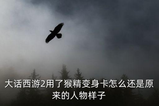 大话手游变卡怎么显示原来造型，将军令或密保卡变身后使用飞行旗或更换场景后又变回原来造