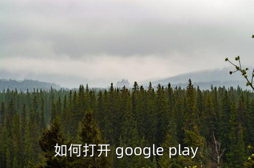 如何打开 google play