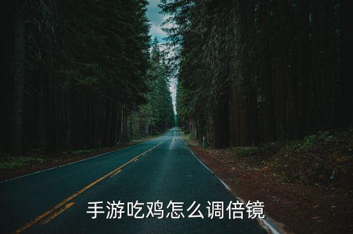 手游吃鸡怎么调倍镜