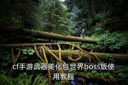 cf手游武器美化包世界boss版使用教程