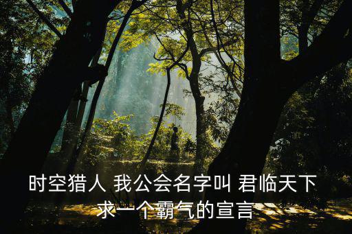 时空猎人 我公会名字叫 君临天下 求一个霸气的宣言