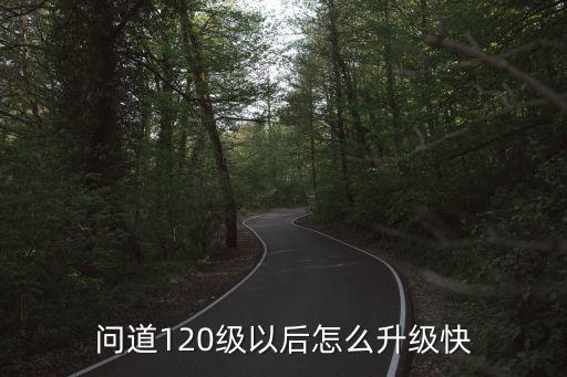 问道120级以后怎么升级快