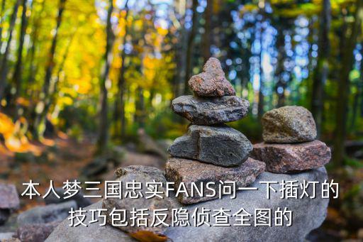 本人梦三国忠实FANS问一下插灯的技巧包括反隐侦查全图的