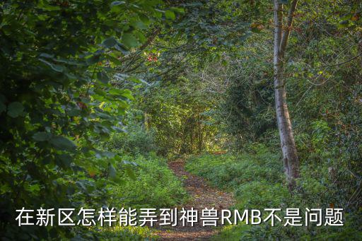 在新区怎样能弄到神兽RMB不是问题