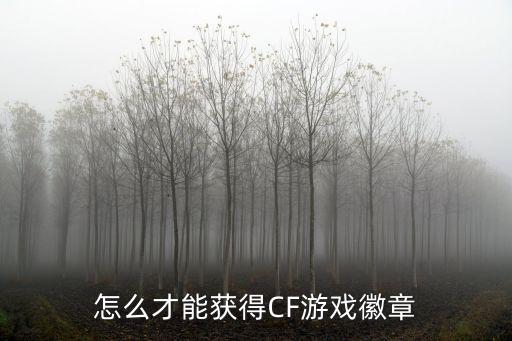 怎么才能获得CF游戏徽章