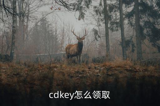 cdkey怎么领取