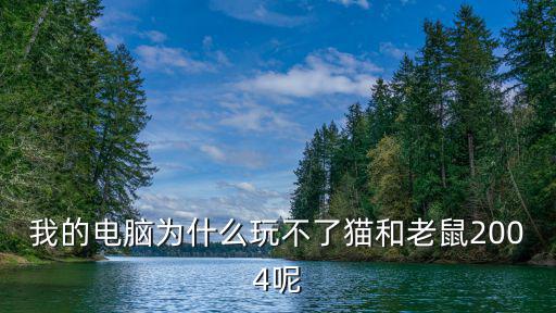 我的电脑为什么玩不了猫和老鼠2004呢