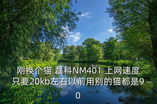 刚换个猫 磊科NM401 上网速度只要20kb左右以前用别的猫都是90