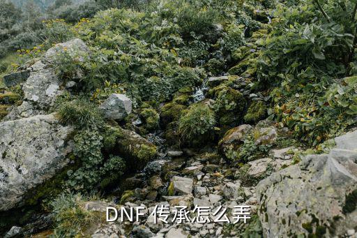 DNF 传承怎么弄