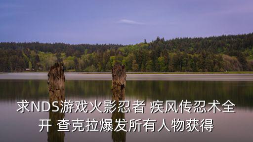 火影忍者手游暴击王怎么获得，火影忍者疾风传 究极冲击1 人物怎么得开始游戏时给你那个人物